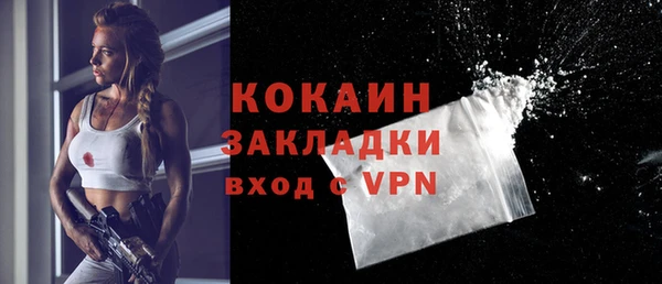 винт Няндома