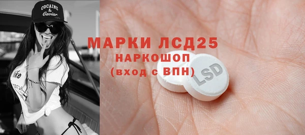 винт Няндома