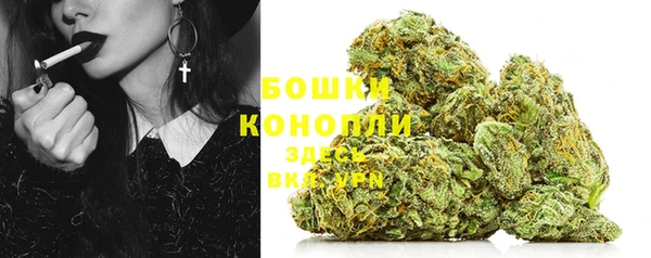 винт Няндома