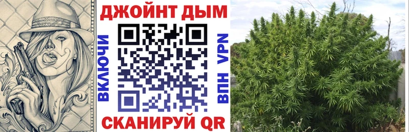 Бошки марихуана тримм  продажа наркотиков  Чита 